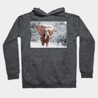 Elephant (Vintage) Hoodie